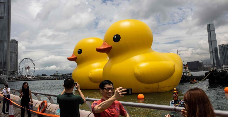 Patos de goma gigantes causan sensación en Hong Kong